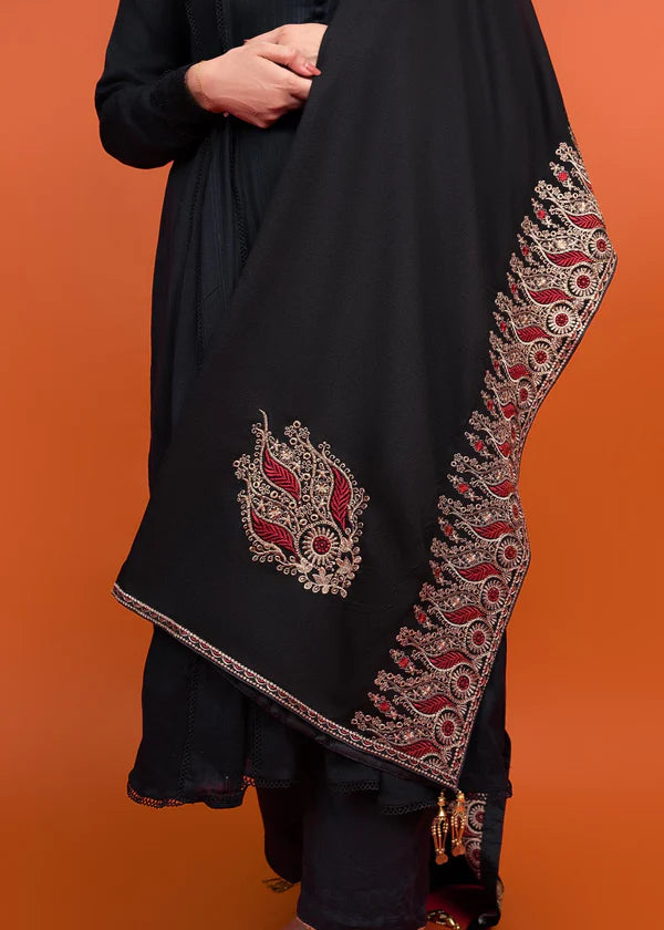 Karandi Embroidered Shawl