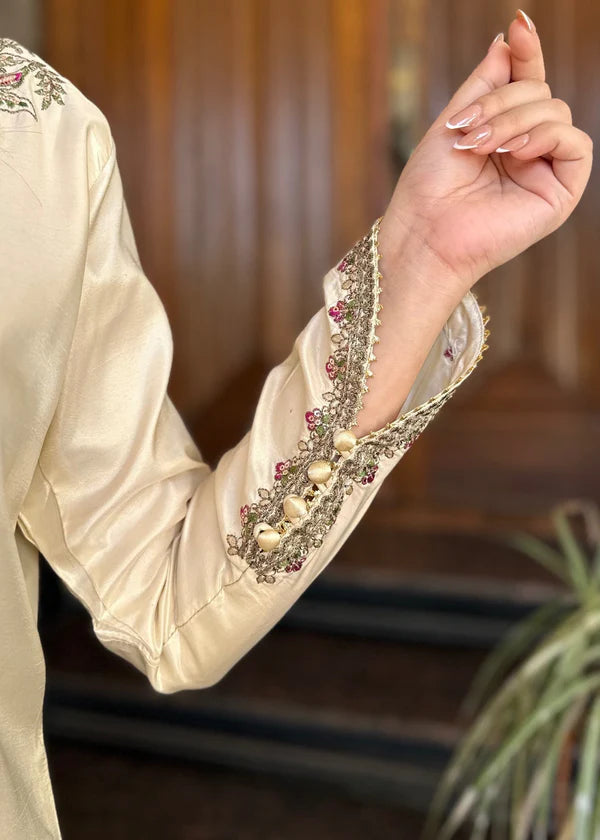 Silk Embroidered Farshi Dress