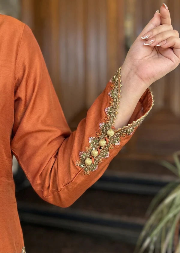 Silk Embroidered Farshi Dress