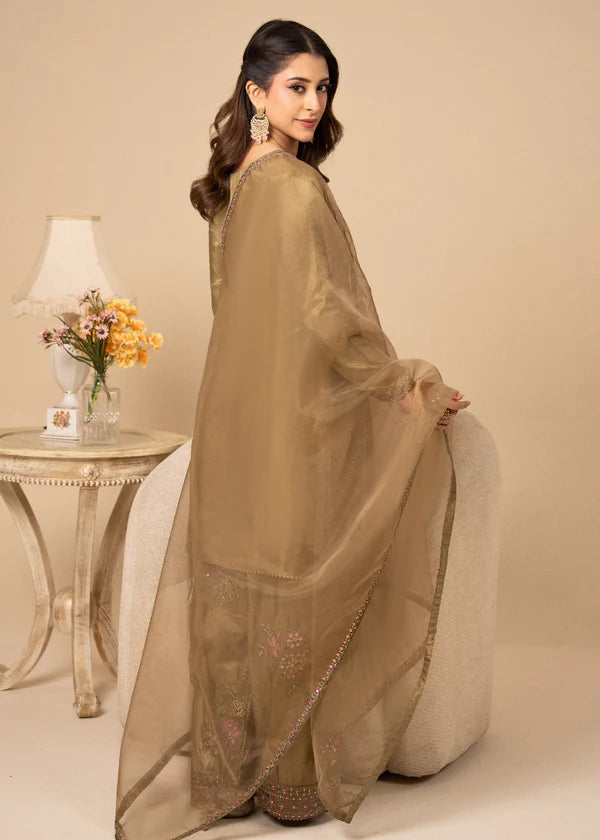 Silk Embroidered Farshi Dress