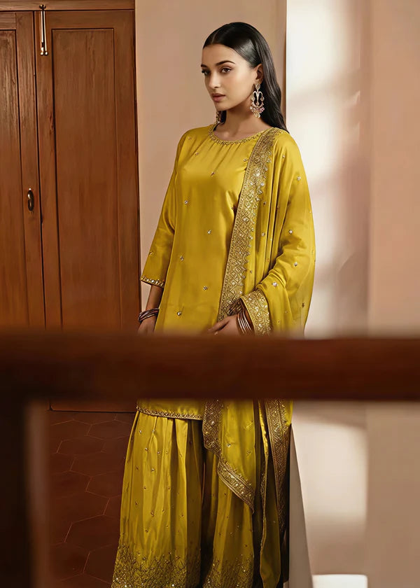 Silk Embroidered Farshi Dress