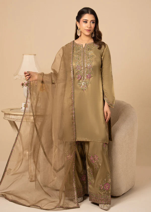 Silk Embroidered Farshi Dress