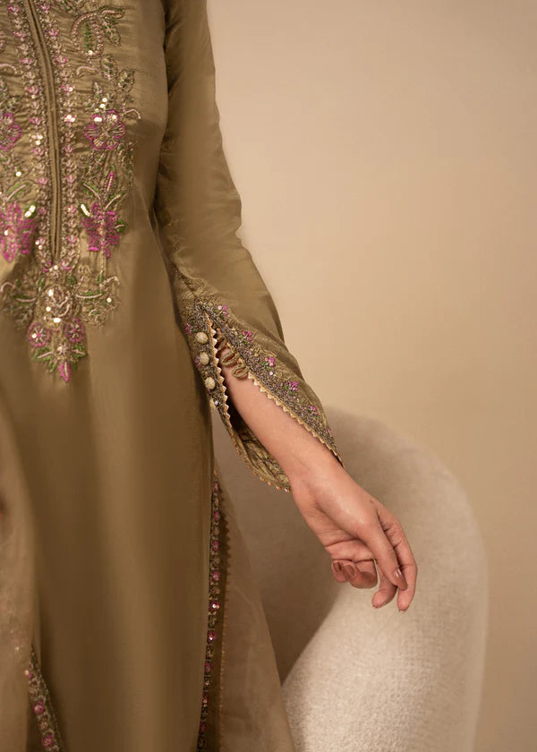 Silk Embroidered Farshi Dress