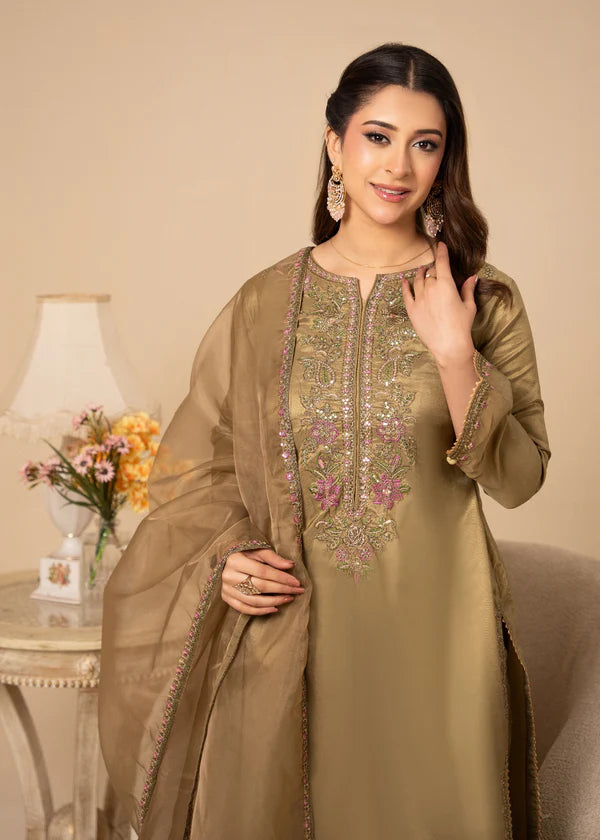 Silk Embroidered Farshi Dress