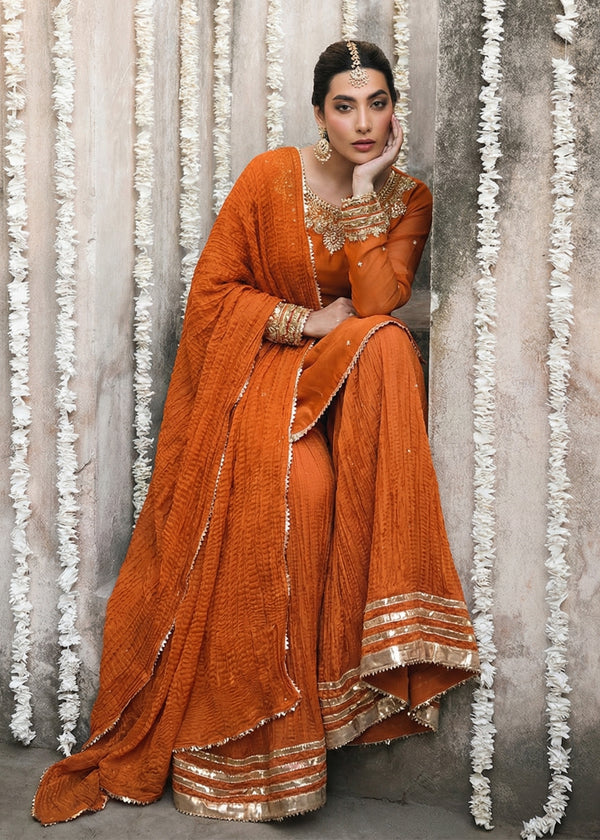 Chiffon Silk Embroidered Crush Sharara