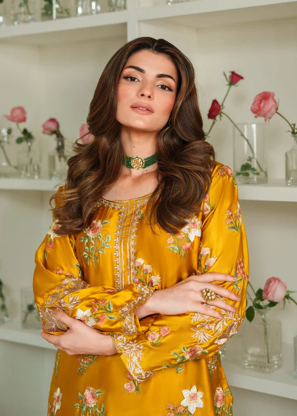 Silk Embroidered Dress