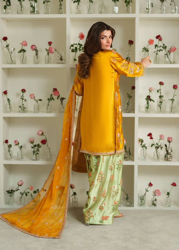 Silk Embroidered Dress