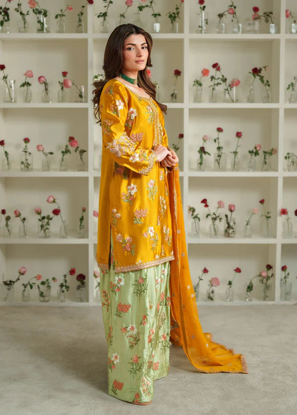 Silk Embroidered Dress